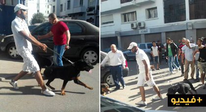 بلطجية وكلاب غير مدربة في المؤتمر الاقليمي لحزب الاستقلال بالبيضاء 