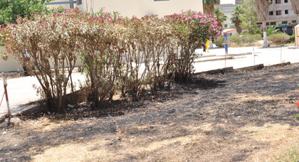 عامل ببلدية زايو يتسبب في حرق جزء من صغير من الحديقة العمومية عن غير قصد