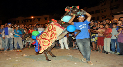 مهرجان الحمير يتوج "مربوح" بجائزة أجمل حمار