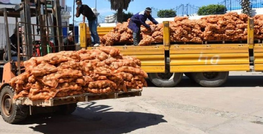 بيعت بدرهمين ونصف للكيلو.. مزاد علني ينتهي ببيع 145 طنا من البطاطس المحجوزة