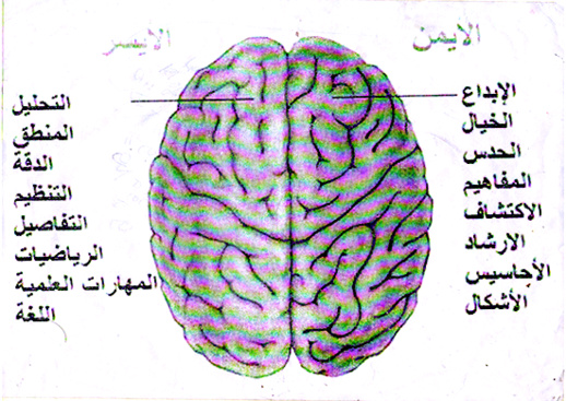 النّاظور تتعزّز بمركز لتطوير الذكاء العقلي والذهني والتفكير الإبداعي