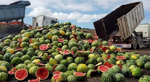 في ظل استمرار تداعيات أزمة المياه.. المغرب يتجاوز إسبانيا في تصدير البطيخ الأحمر‎