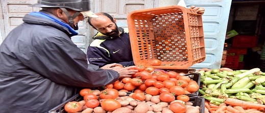 "أزمة الطماطم" تتصاعد والتساؤلات تثار حول برامج الدعم الفلاحي الممولة من أموال دافعي الضرائب