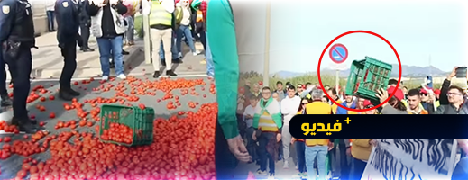 للمرة الثانية.. المزارعون الإسبان يعترضون شاحنة طماطم مغربية ويتلفون محتوياتها