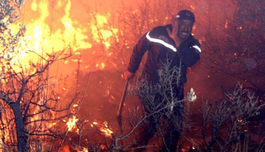 ضمنها الناظور.. المياه والغابات تحدد المناطق المعرضة لخطر الحرائق