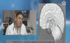 الدكتور أحمد عالوش يشرح جهاز الغدد.. أنواعه وأدواره